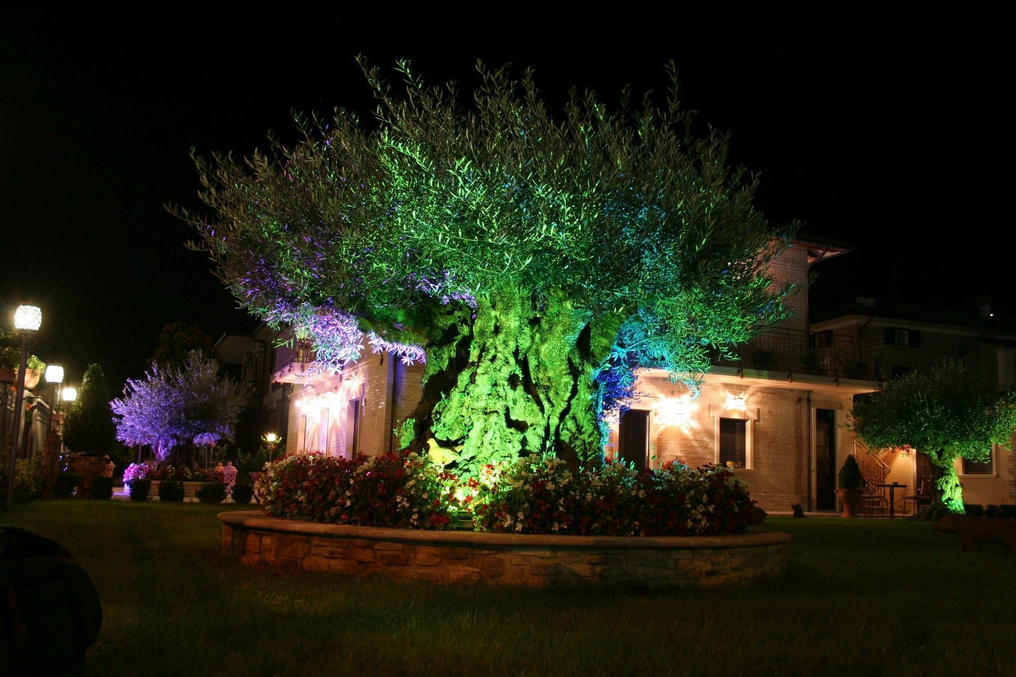 Hotel Domus Angeli Asís Exterior foto