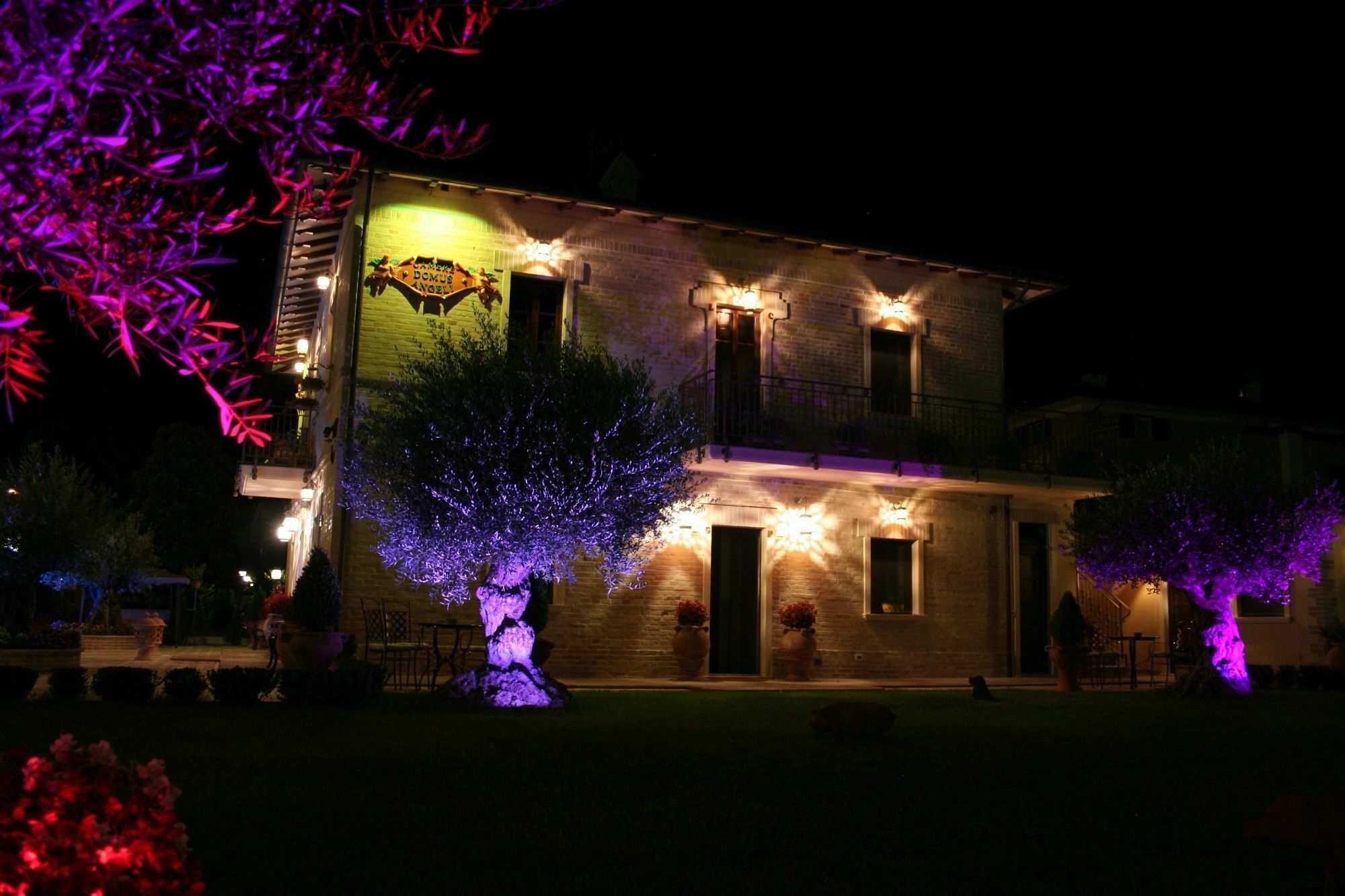 Hotel Domus Angeli Asís Exterior foto